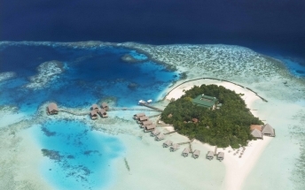 gangehi-island-resort gangehi-island-resort-71