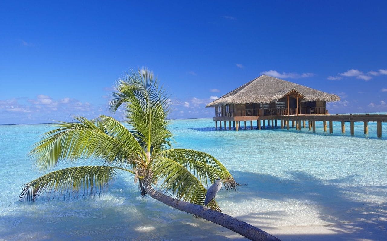 medhufushi island resort meemu atoll